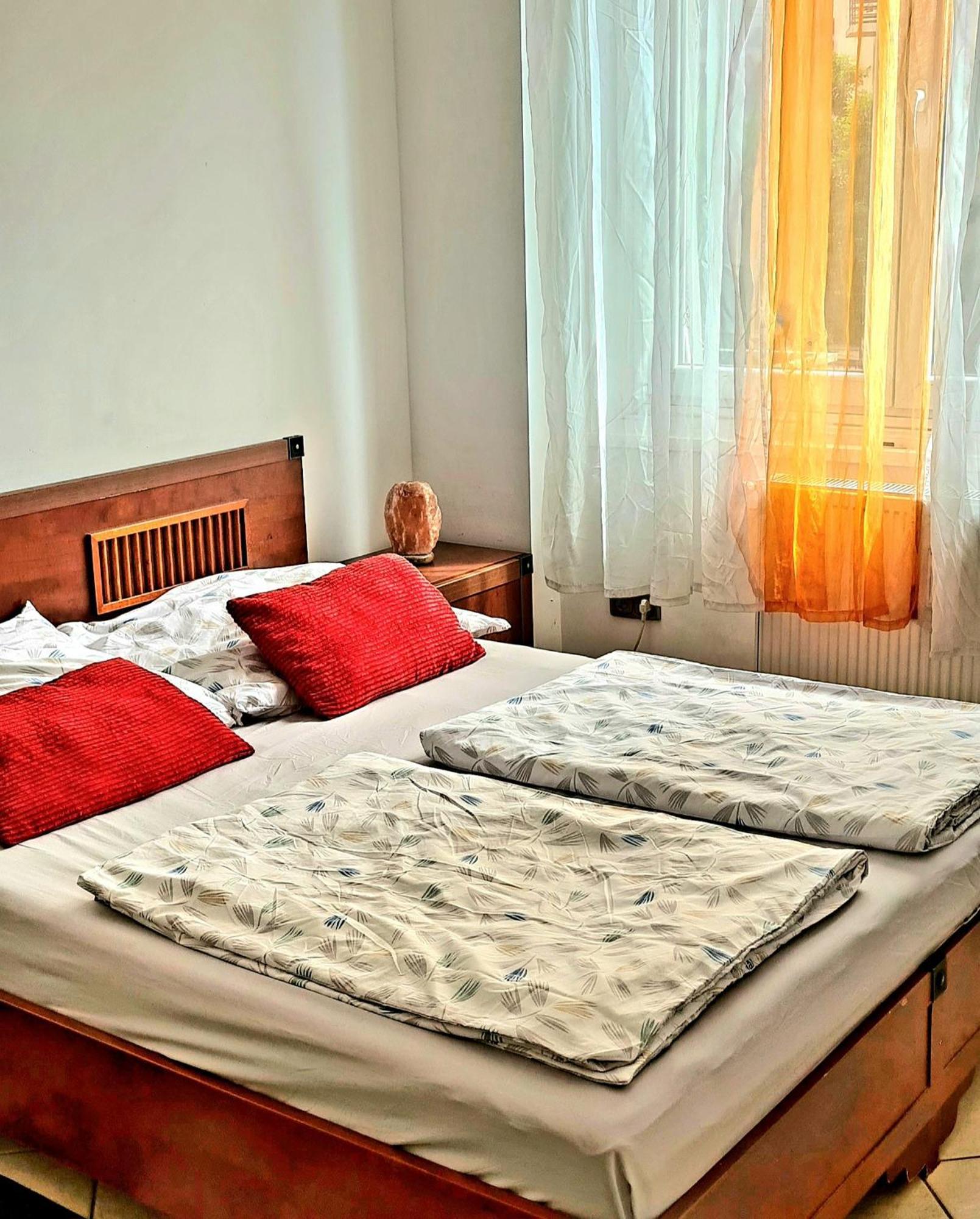 Buda Life Apartment 布达佩斯 外观 照片